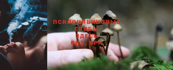 ешки Балахна