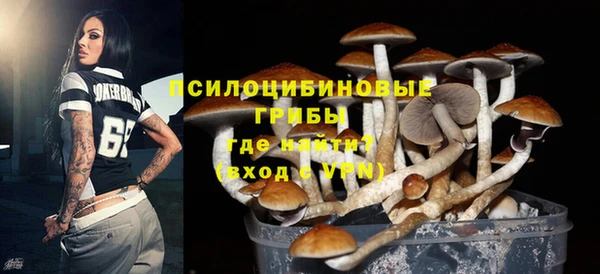 ешки Балахна