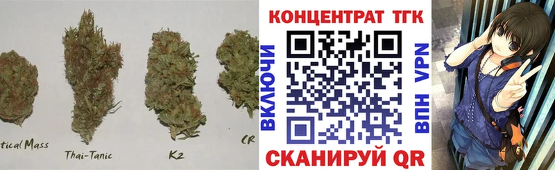omg ONION  Балтийск  ТГК жижа 