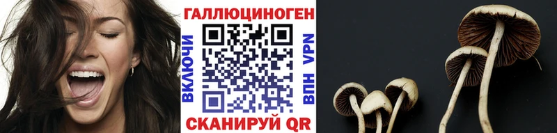 Псилоцибиновые грибы мицелий  как найти закладки  Балтийск 