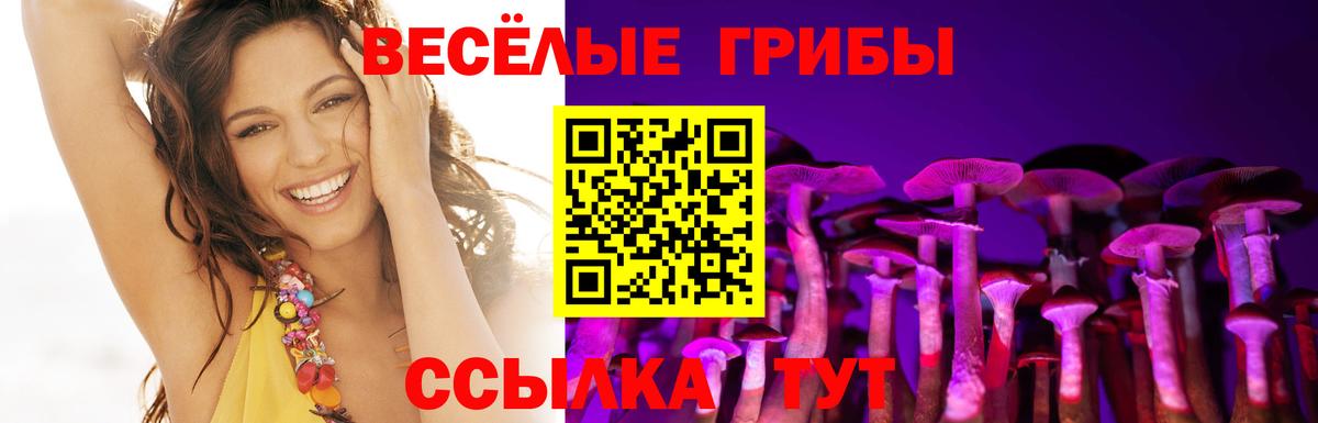 Псилоцибиновые грибы Psilocybine cubensis Балтийск